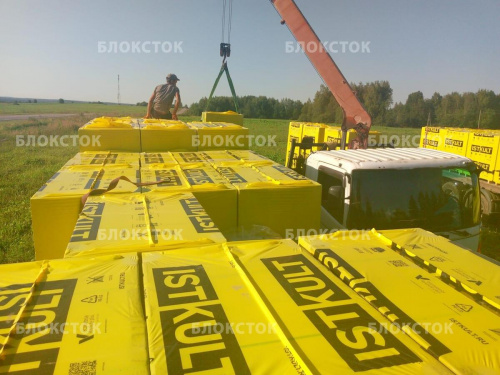 Пеноблоки Istkult D500 625х250х50 перегородочные